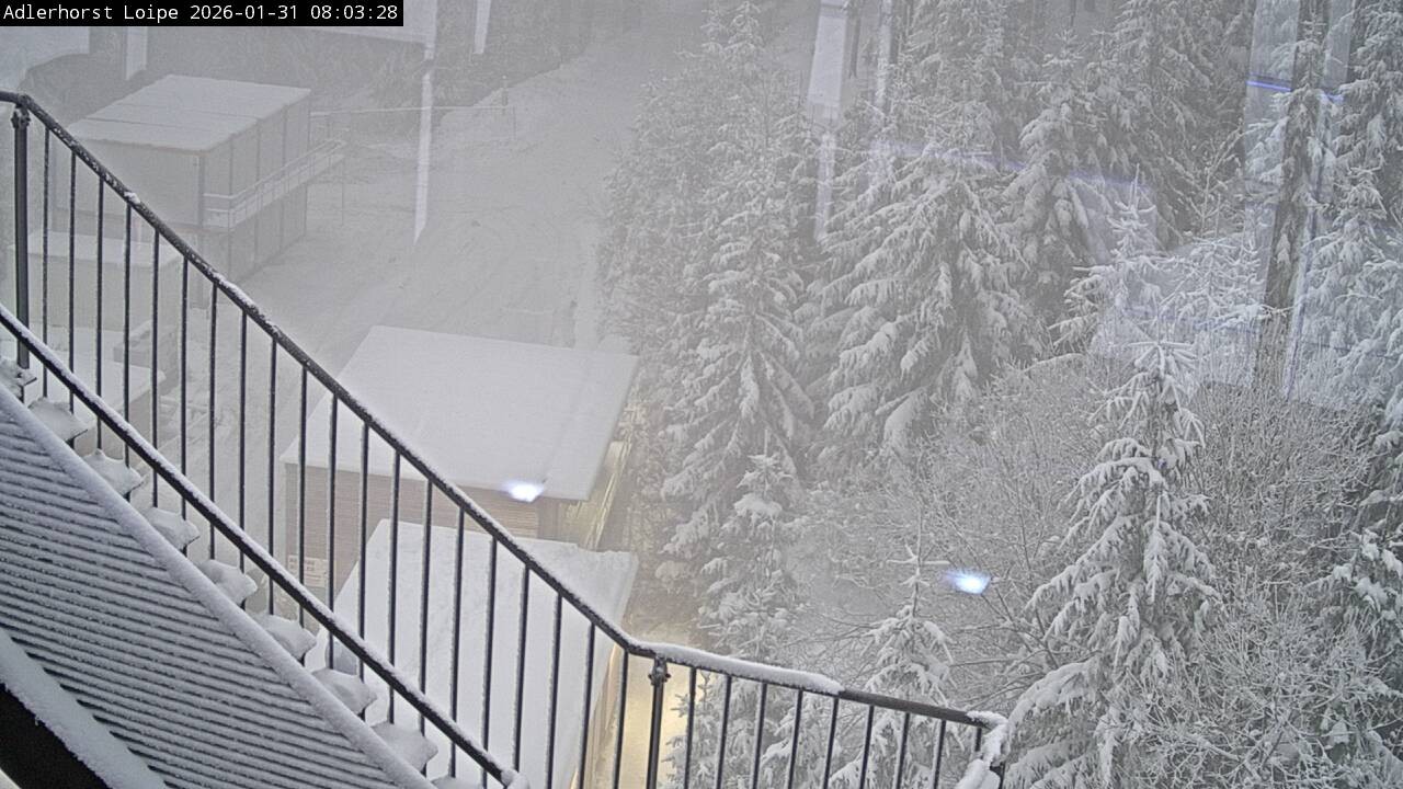 Archiv Foto Webcam Willingen: Adlerhorst Loipe