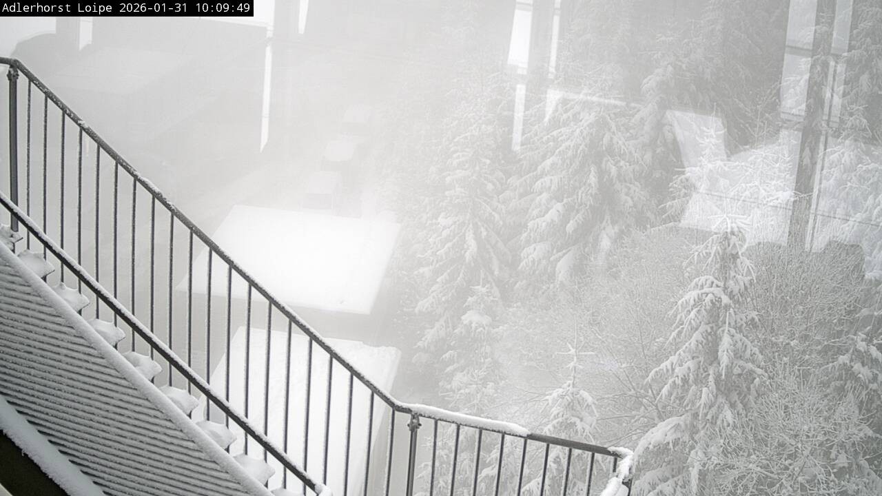 Archiv Foto Webcam Willingen: Adlerhorst Loipe