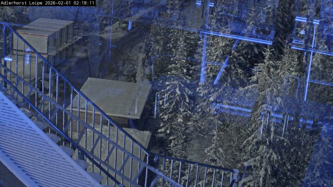 Archiv Foto Webcam Willingen: Adlerhorst Loipe