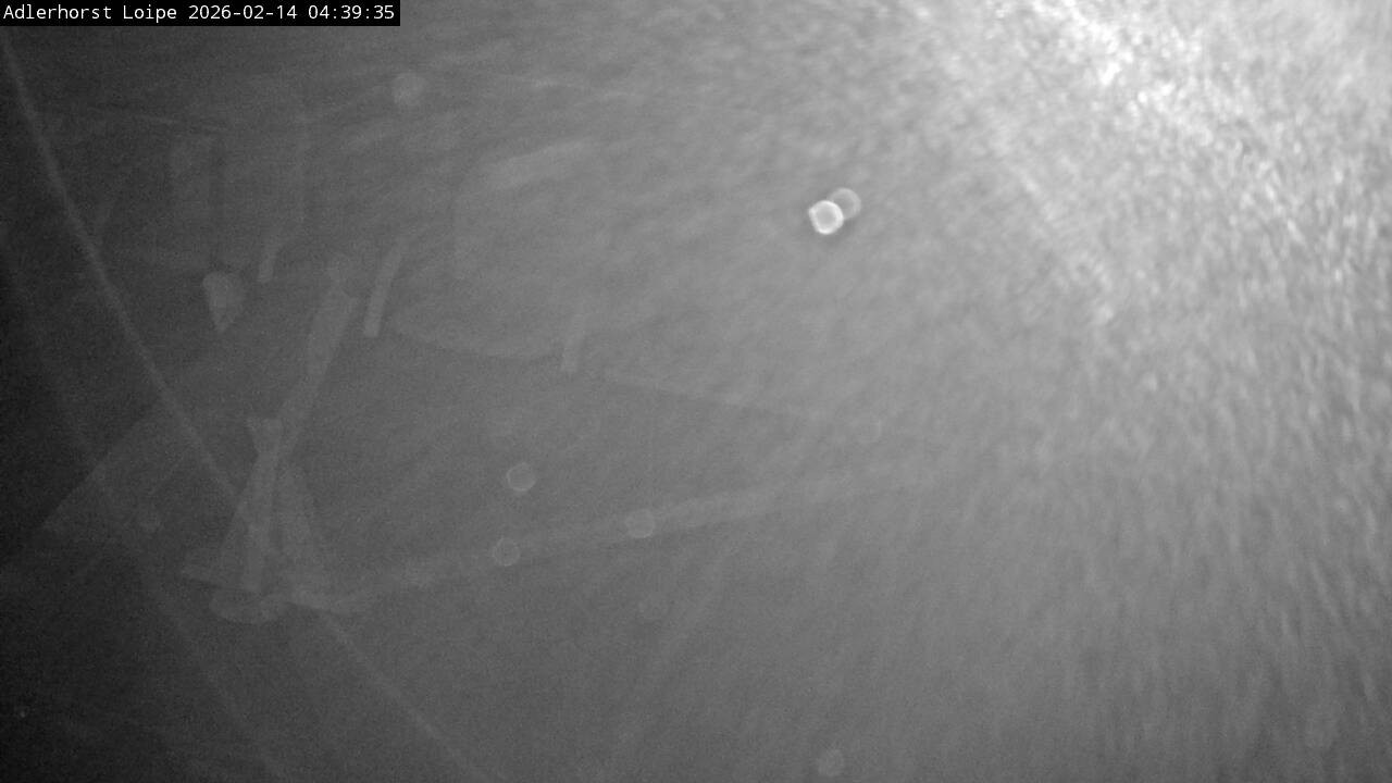 Archiv Foto Webcam Willingen: Adlerhorst Loipe