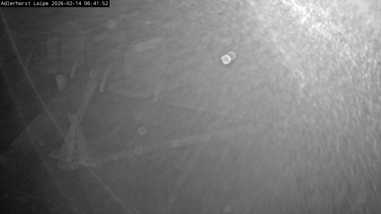 Archiv Foto Webcam Willingen: Adlerhorst Loipe