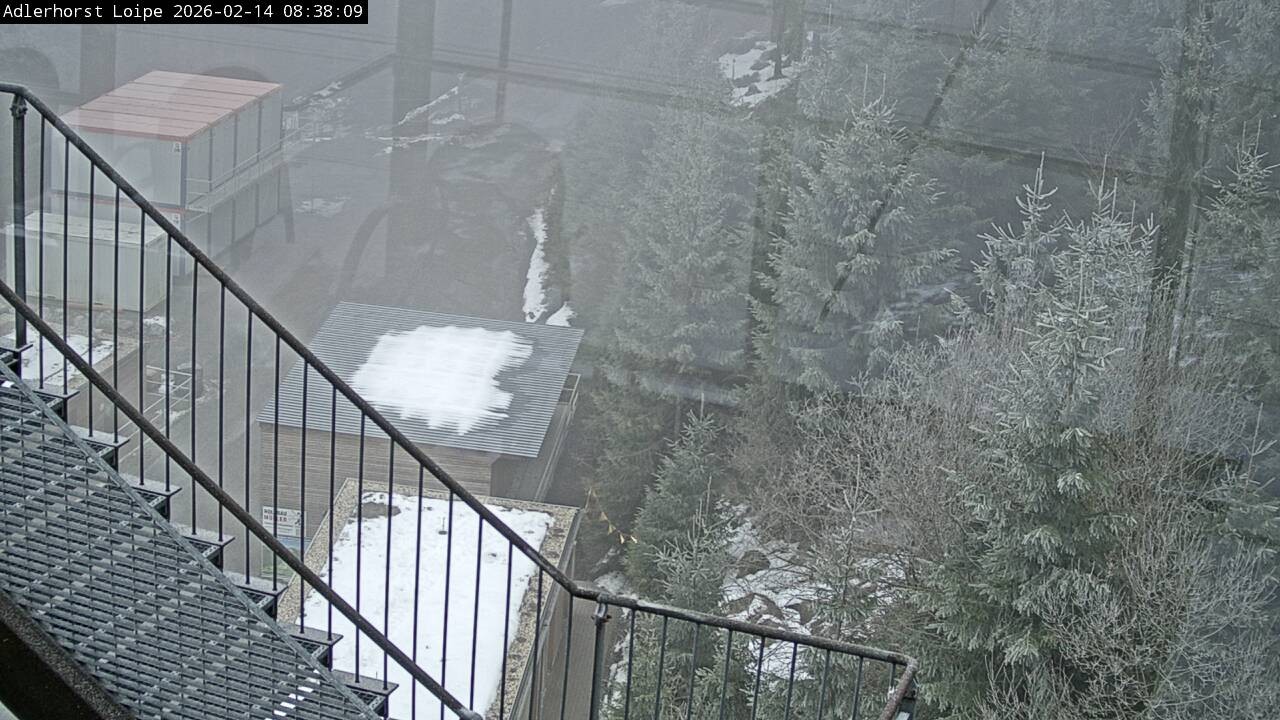 Archiv Foto Webcam Willingen: Adlerhorst Loipe
