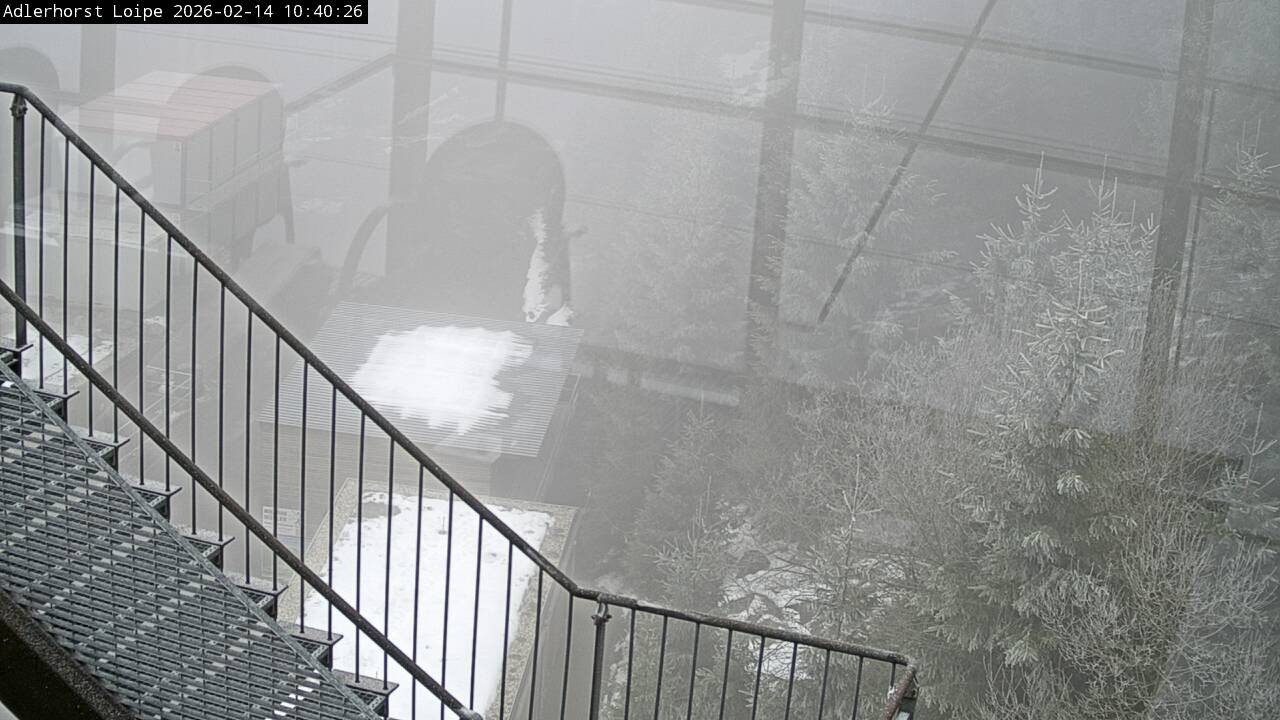 Archiv Foto Webcam Willingen: Adlerhorst Loipe