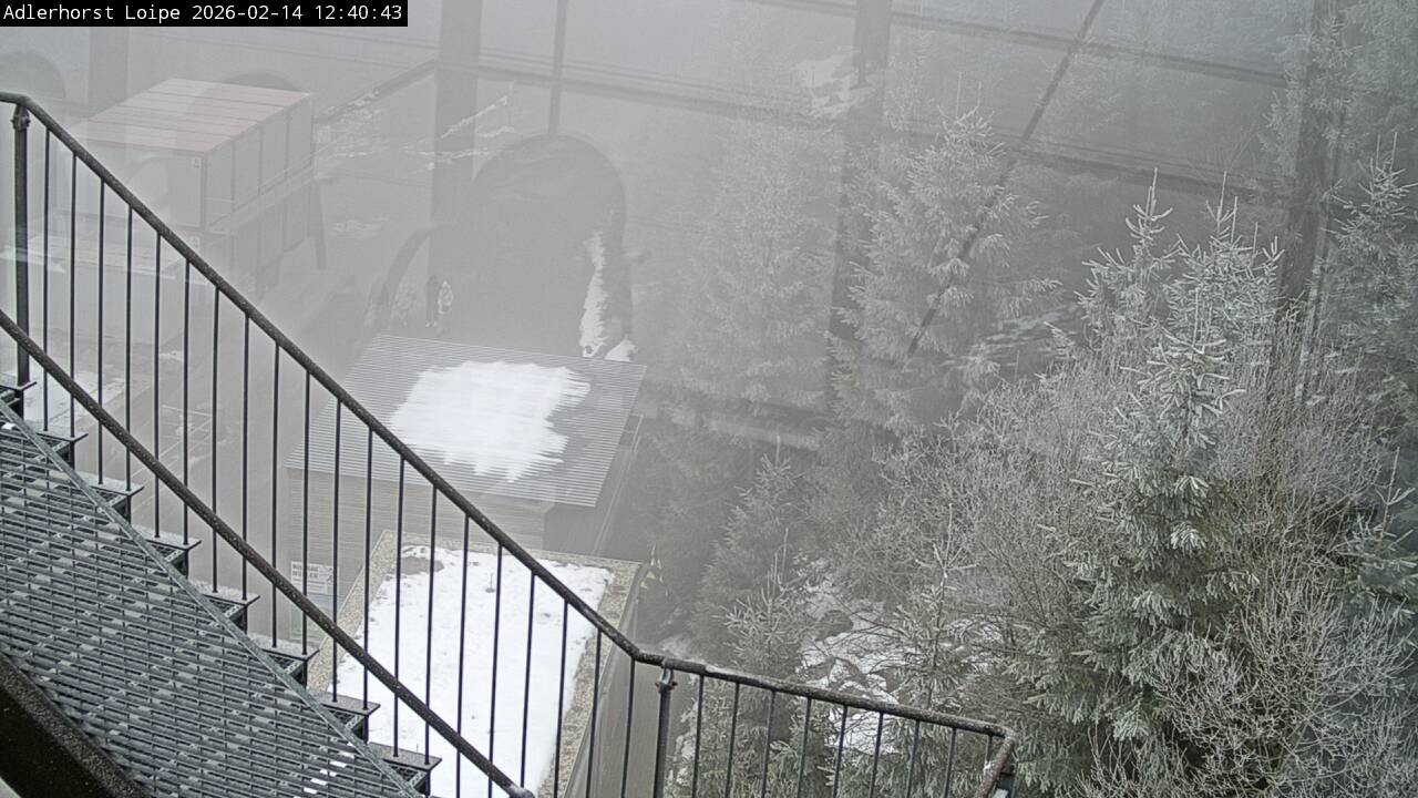 Archiv Foto Webcam Willingen: Adlerhorst Loipe
