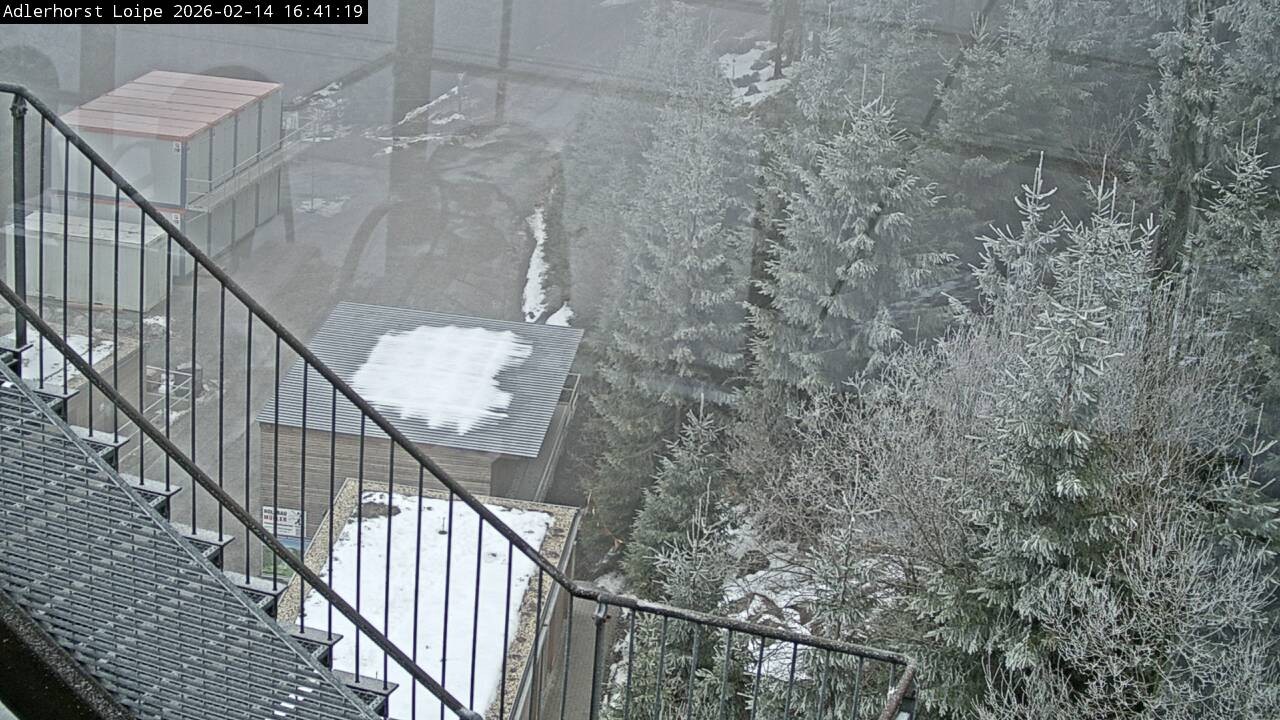 Archiv Foto Webcam Willingen: Adlerhorst Loipe