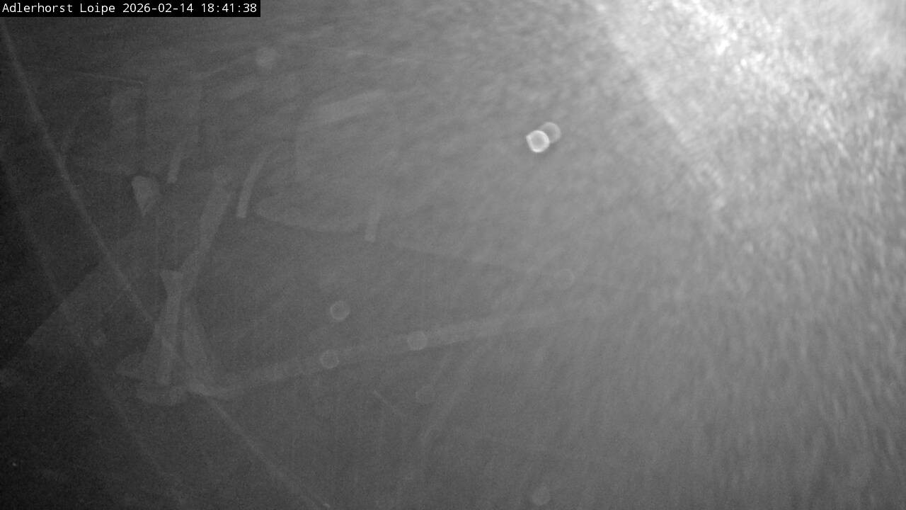 Archiv Foto Webcam Willingen: Adlerhorst Loipe