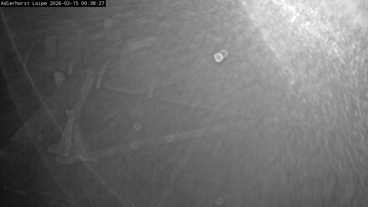 Archiv Foto Webcam Willingen: Adlerhorst Loipe