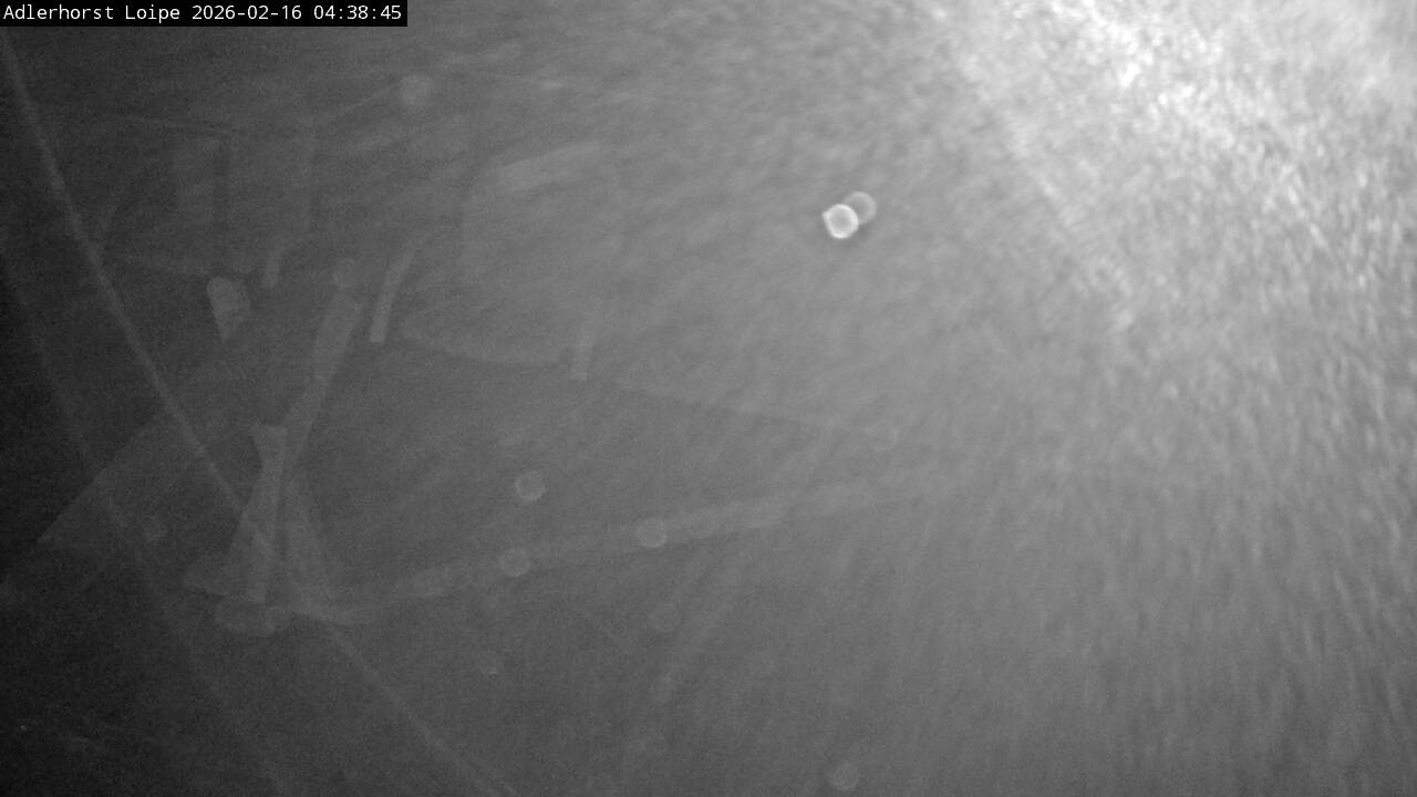 Archiv Foto Webcam Willingen: Adlerhorst Loipe