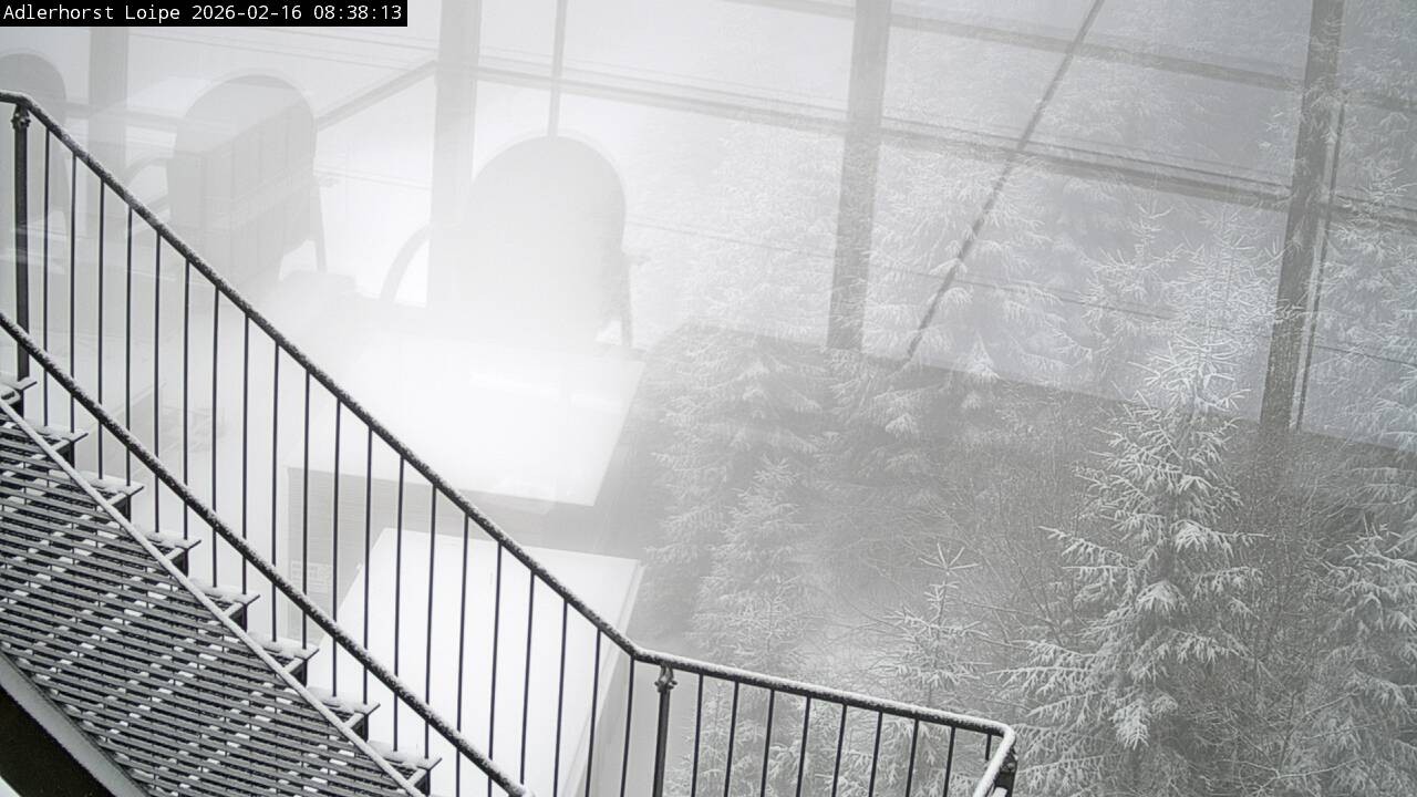 Archiv Foto Webcam Willingen: Adlerhorst Loipe