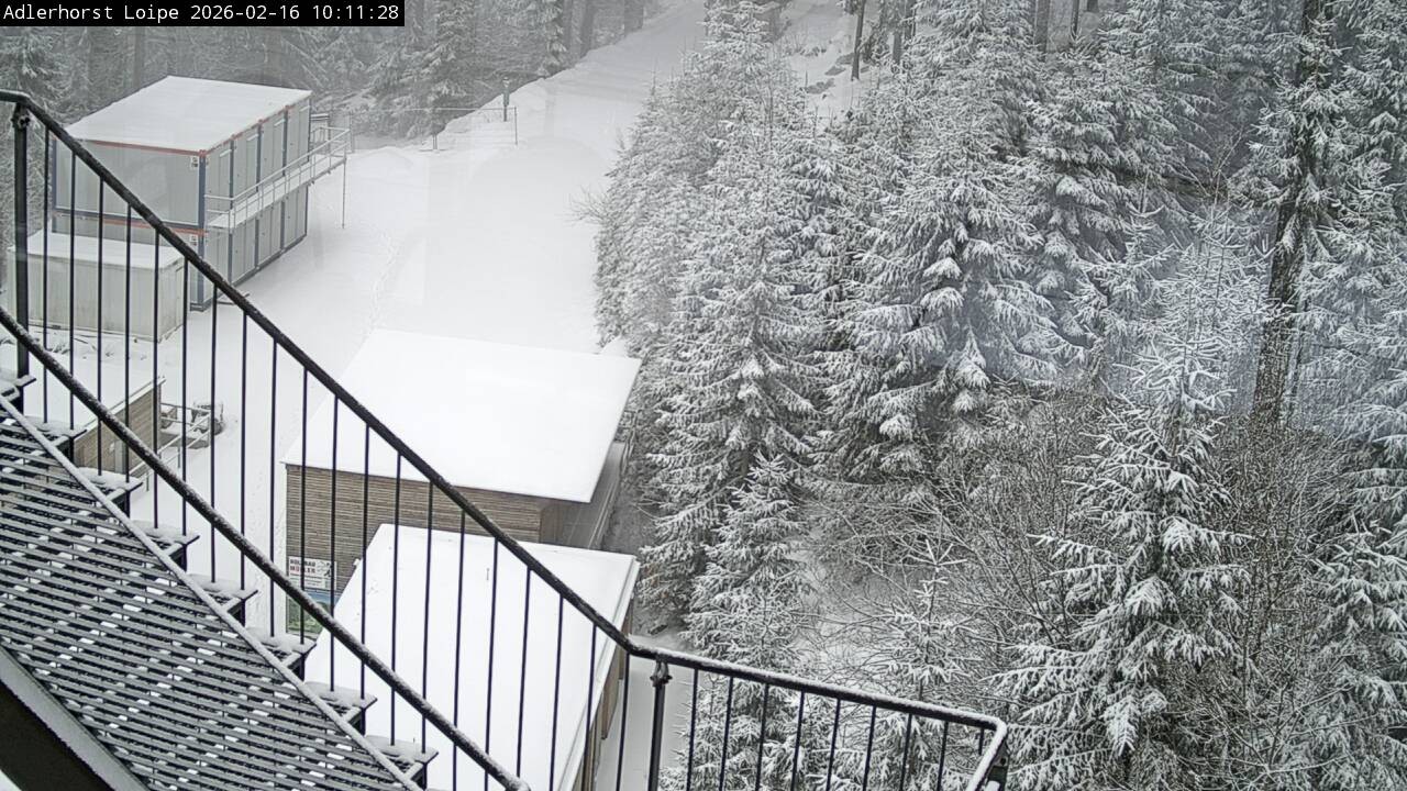 Archiv Foto Webcam Willingen: Adlerhorst Loipe