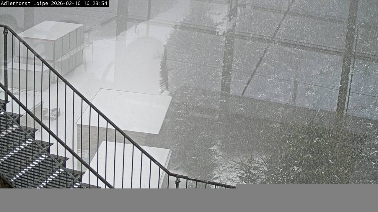 Archiv Foto Webcam Willingen: Adlerhorst Loipe