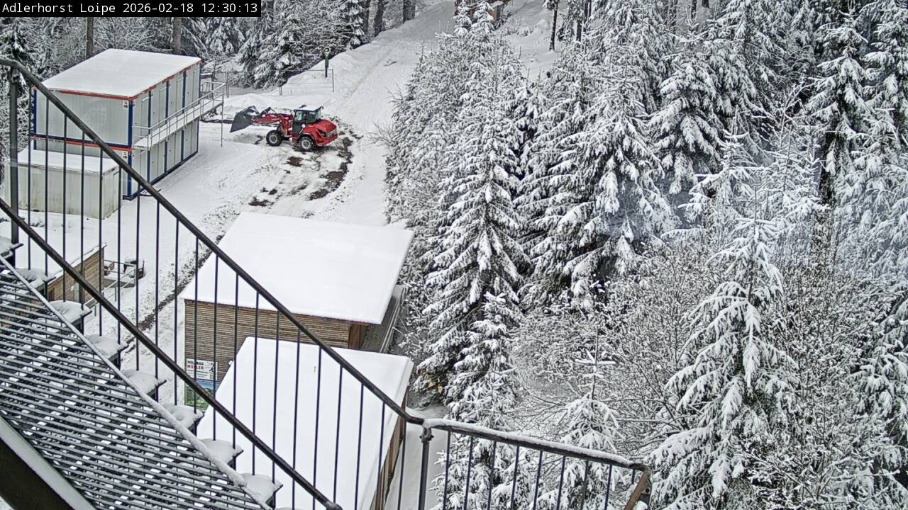 Archiv Foto Webcam Willingen: Adlerhorst Loipe