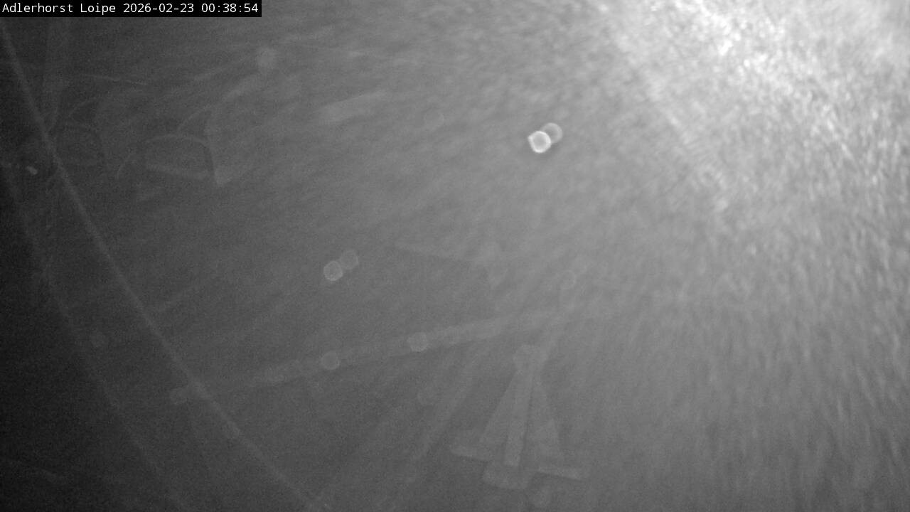 Archiv Foto Webcam Willingen: Adlerhorst Loipe