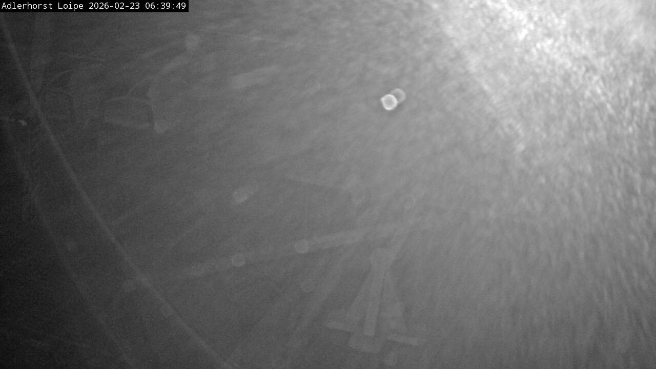 Archiv Foto Webcam Willingen: Adlerhorst Loipe