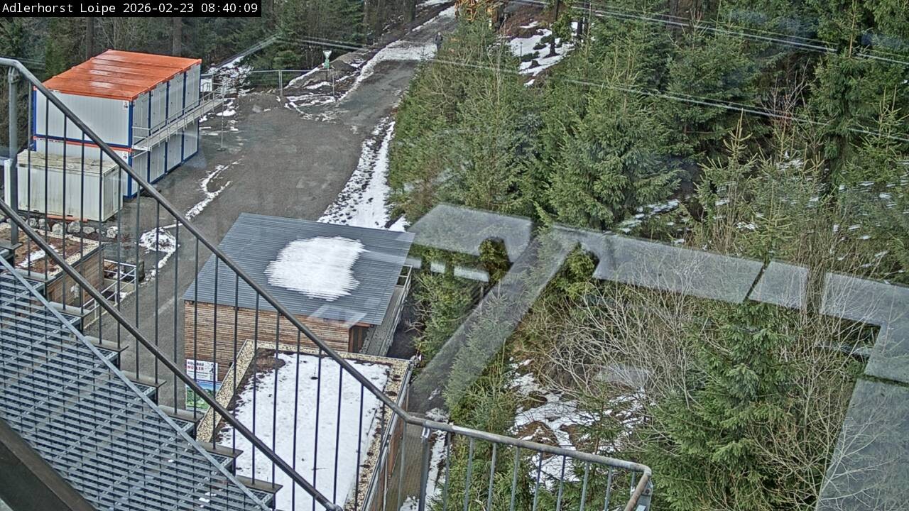Archiv Foto Webcam Willingen: Adlerhorst Loipe