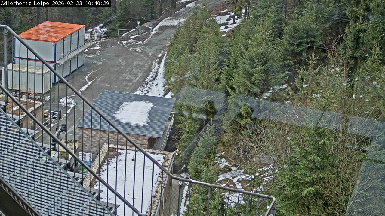 Archiv Foto Webcam Willingen: Adlerhorst Loipe