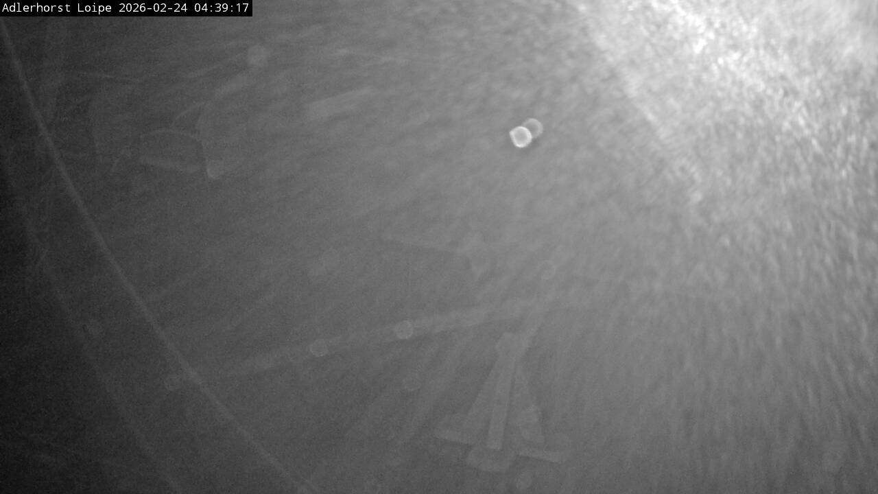 Archiv Foto Webcam Willingen: Adlerhorst Loipe