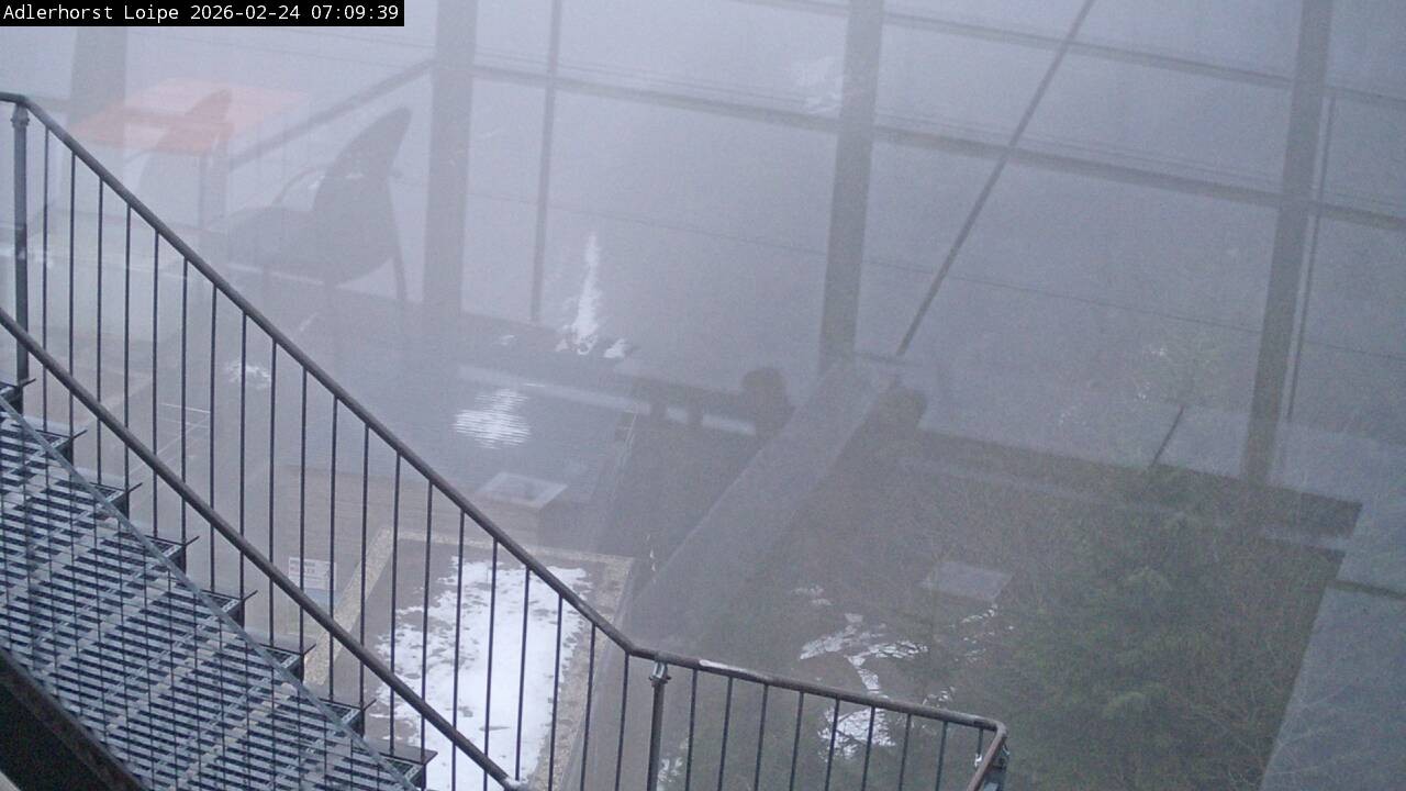 Archiv Foto Webcam Willingen: Adlerhorst Loipe