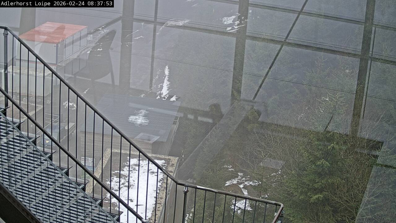 Archiv Foto Webcam Willingen: Adlerhorst Loipe