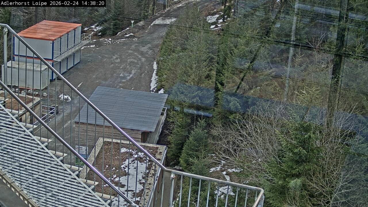 Archiv Foto Webcam Willingen: Adlerhorst Loipe
