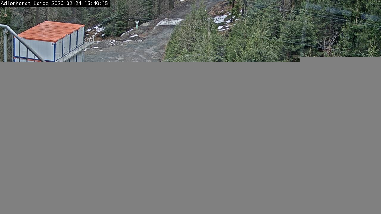 Archiv Foto Webcam Willingen: Adlerhorst Loipe