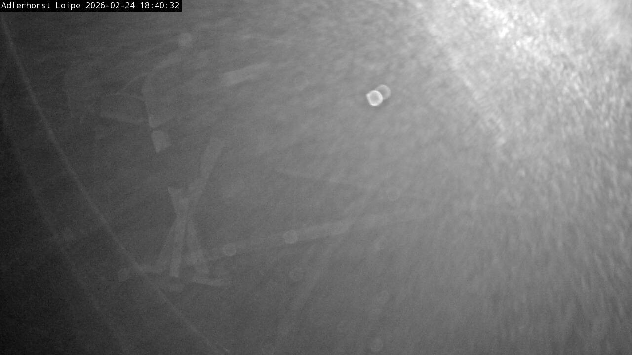 Archiv Foto Webcam Willingen: Adlerhorst Loipe