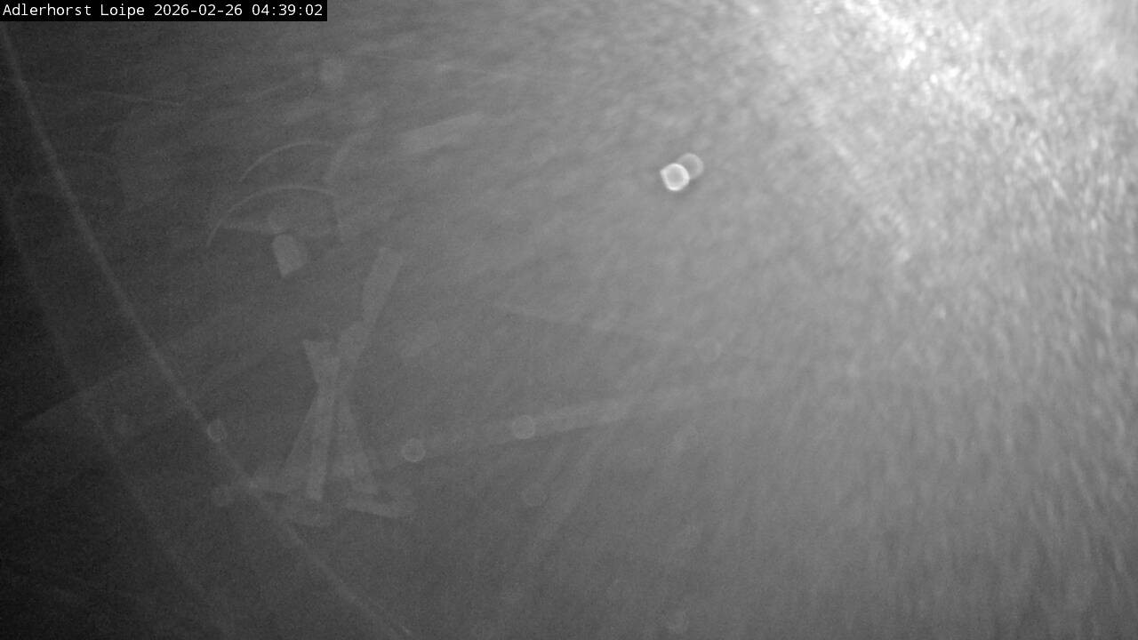 Archived image Webcam Willingen: Trail at Ski Jumping Area