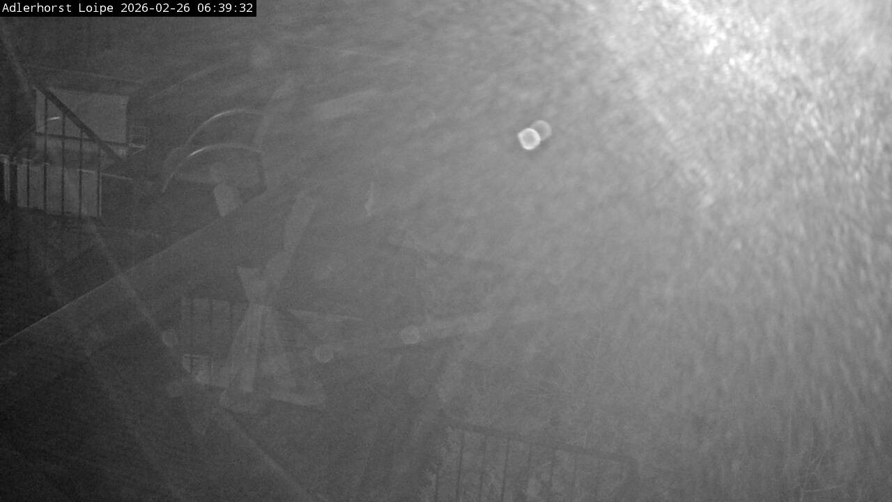 Archived image Webcam Willingen: Trail at Ski Jumping Area