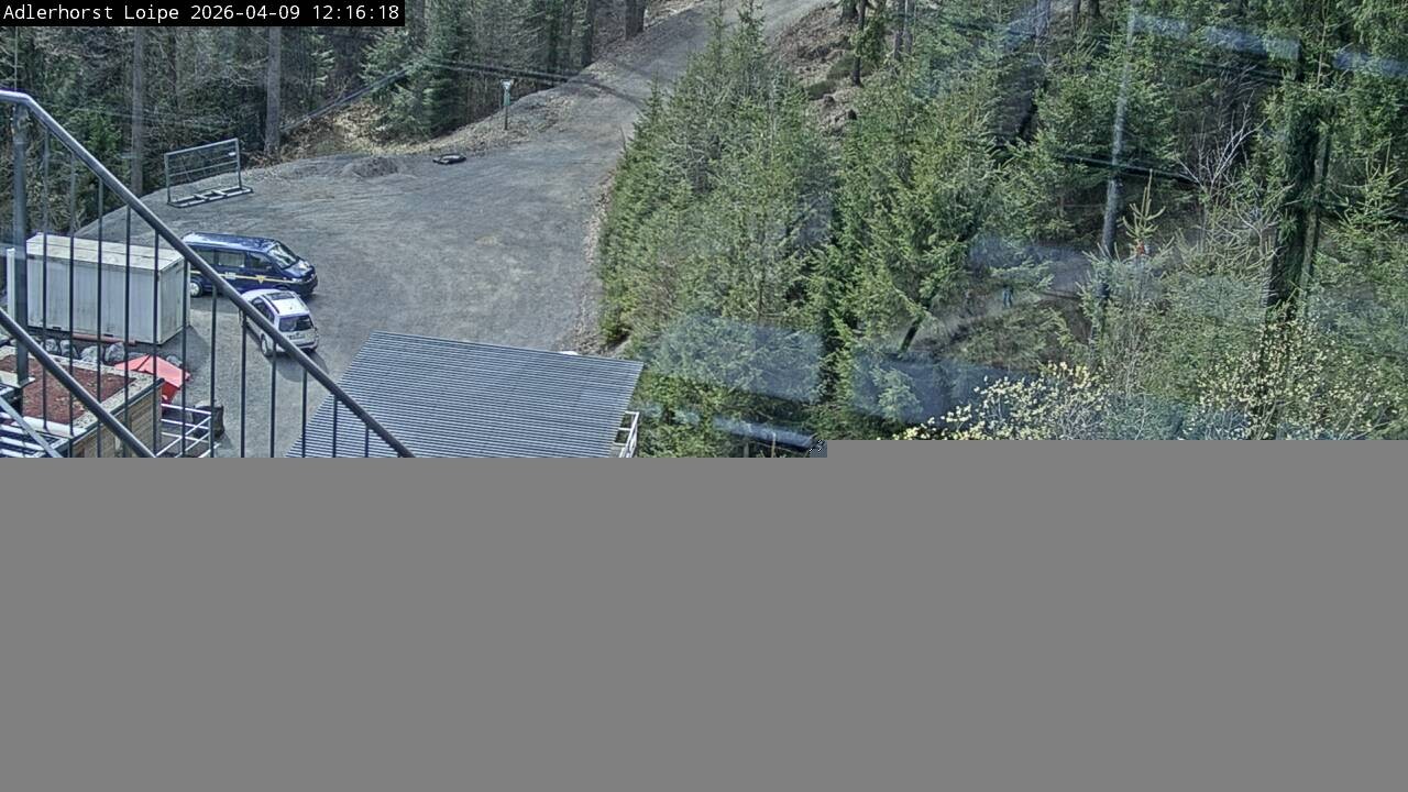 Archiv Foto Webcam Willingen: Adlerhorst Loipe