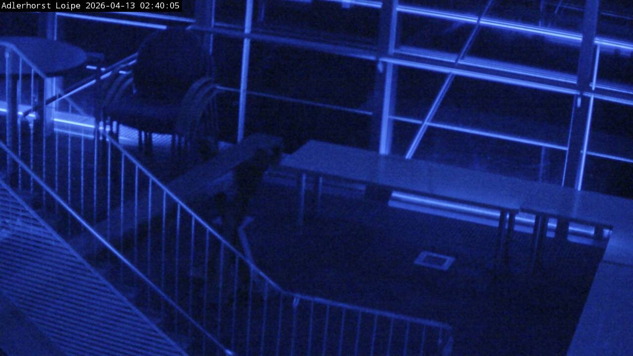 Archived image Webcam Willingen: Trail at Ski Jumping Area