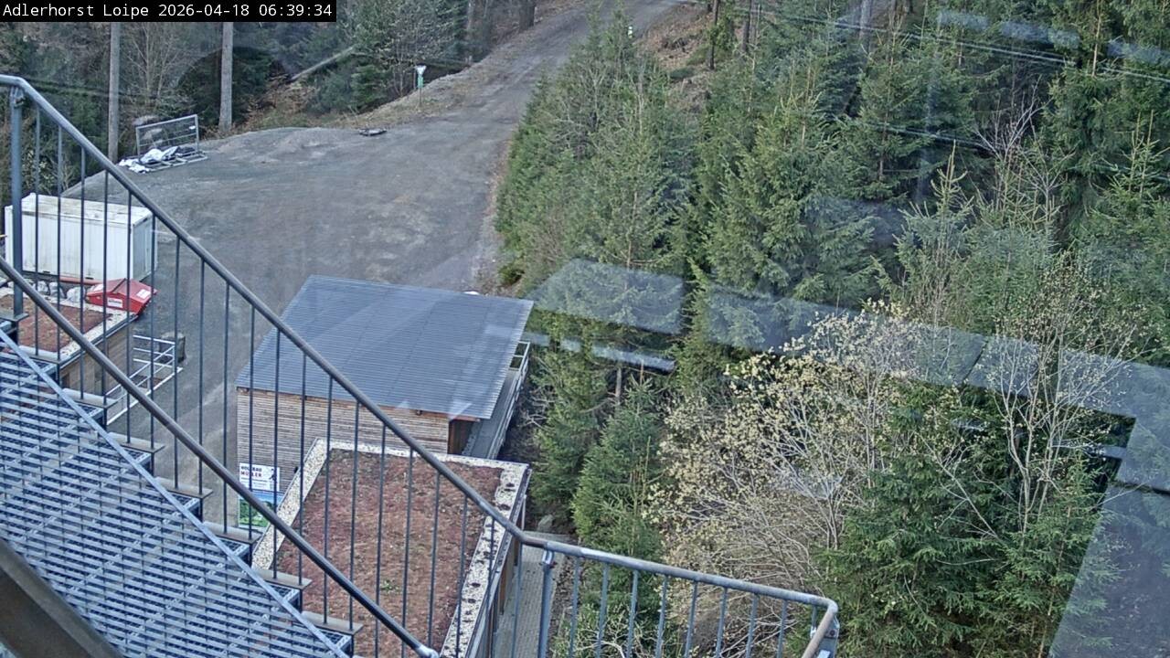 Archiv Foto Webcam Willingen: Adlerhorst Loipe