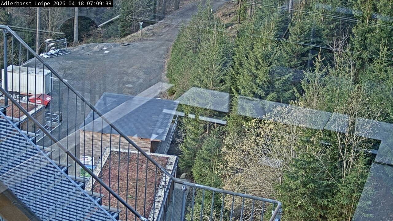 Archiv Foto Webcam Willingen: Adlerhorst Loipe