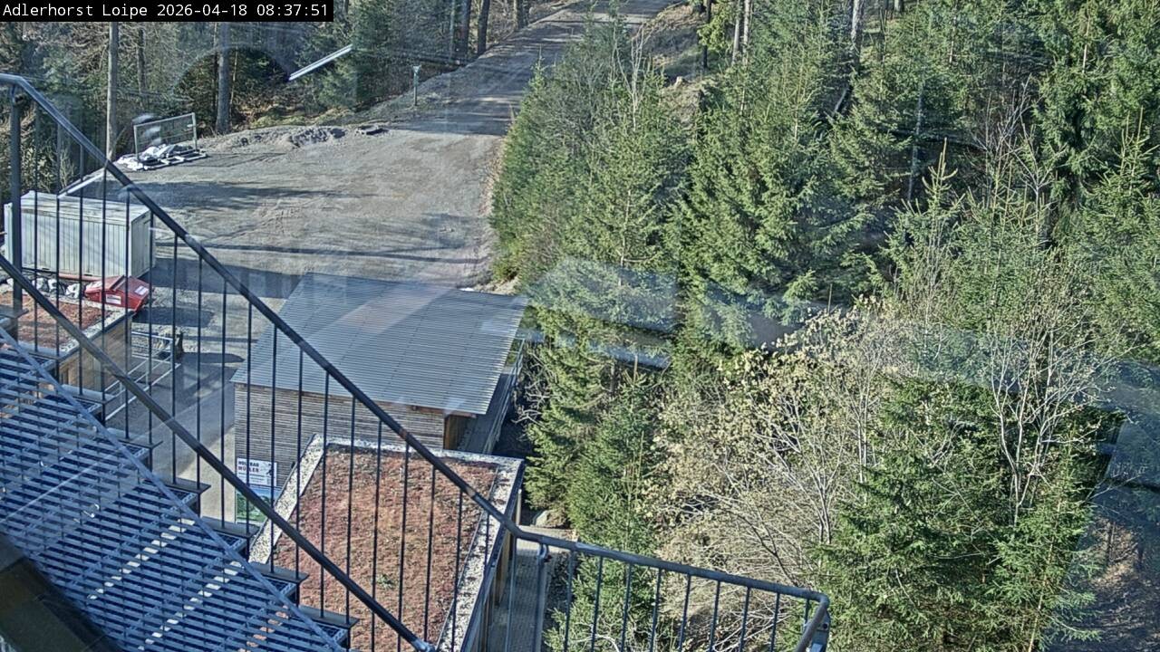 Archiv Foto Webcam Willingen: Adlerhorst Loipe