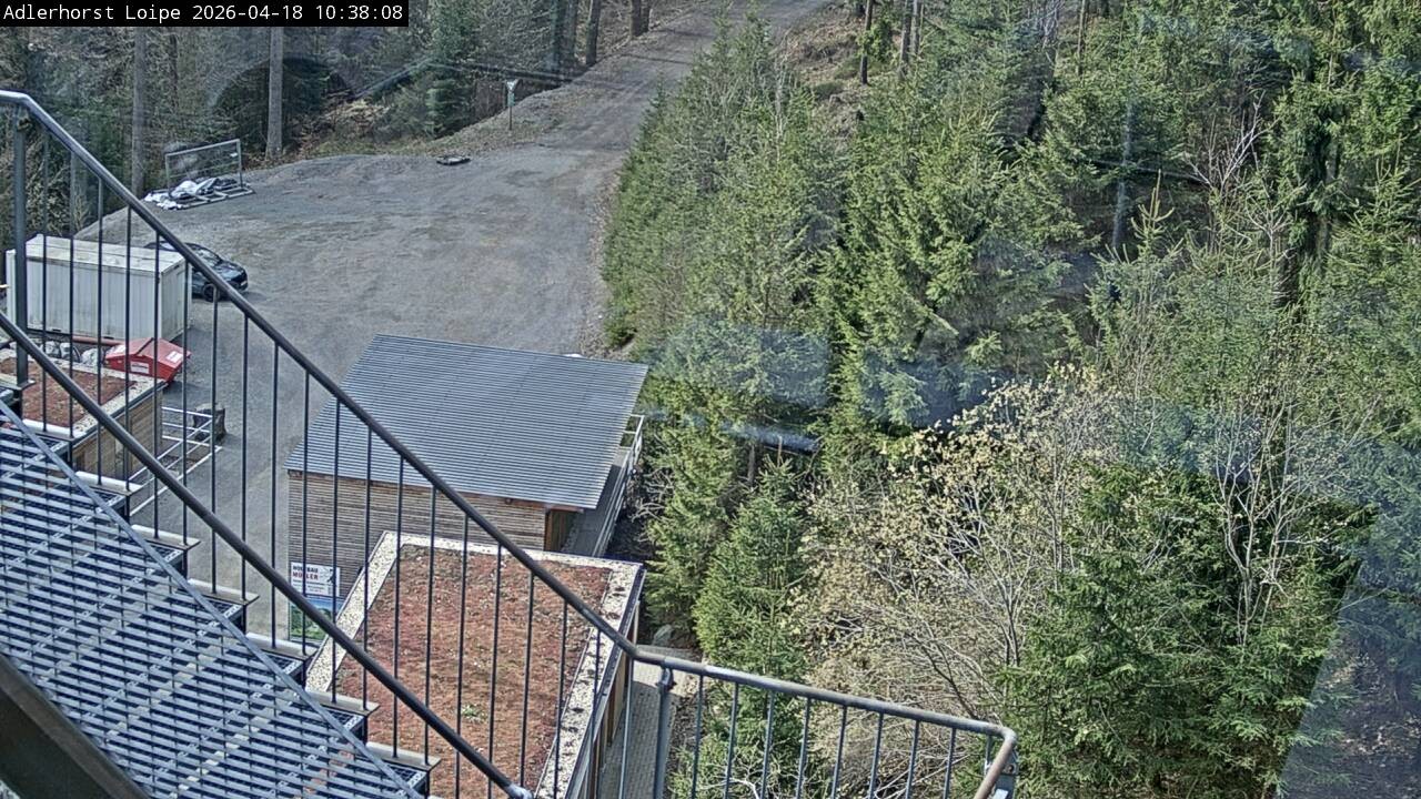Archiv Foto Webcam Willingen: Adlerhorst Loipe