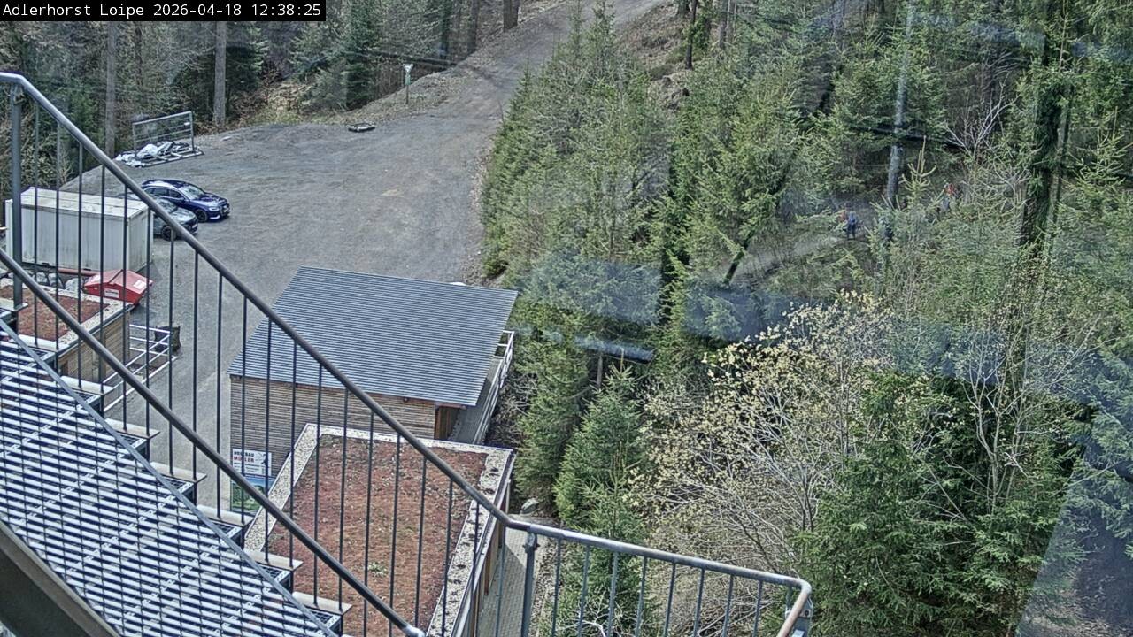 Archiv Foto Webcam Willingen: Adlerhorst Loipe