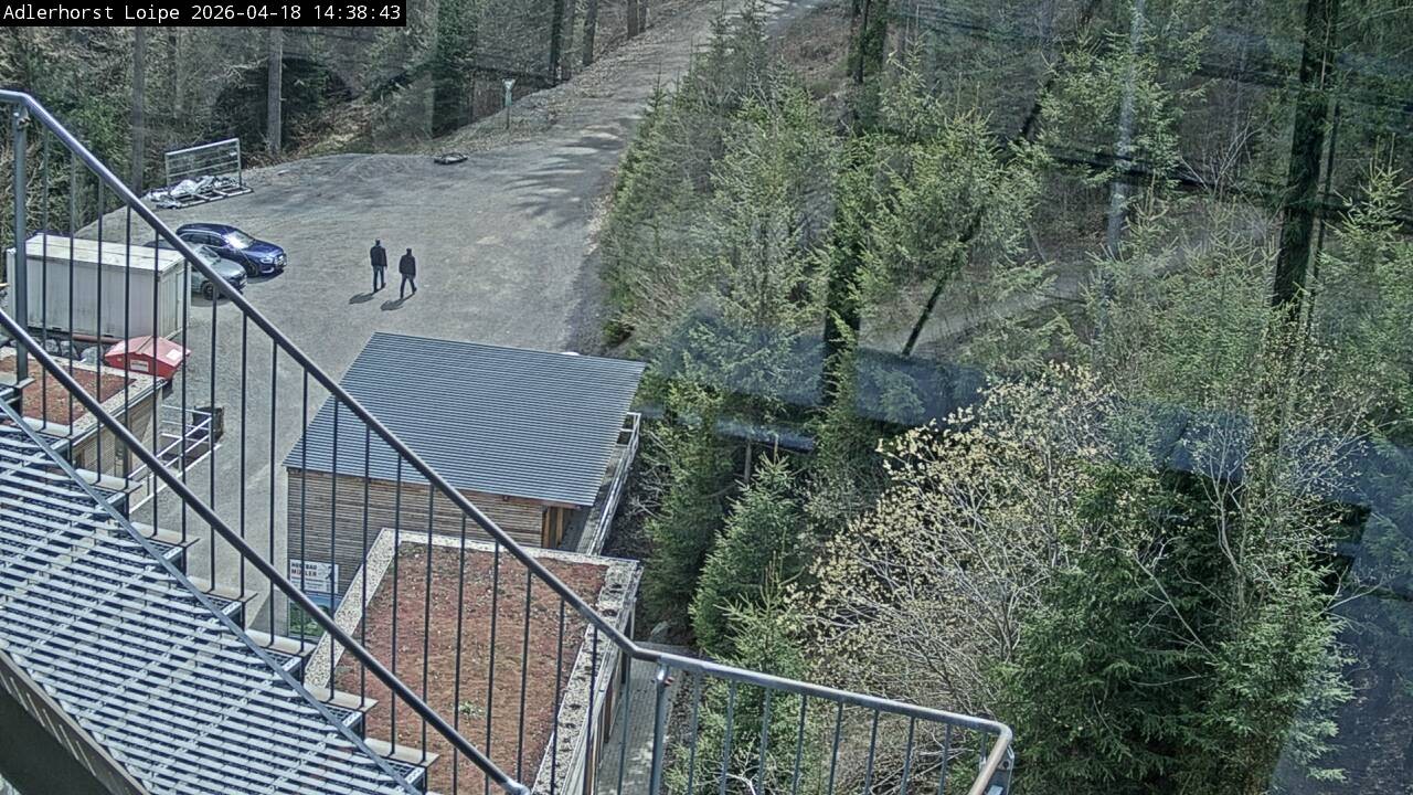 Archiv Foto Webcam Willingen: Adlerhorst Loipe