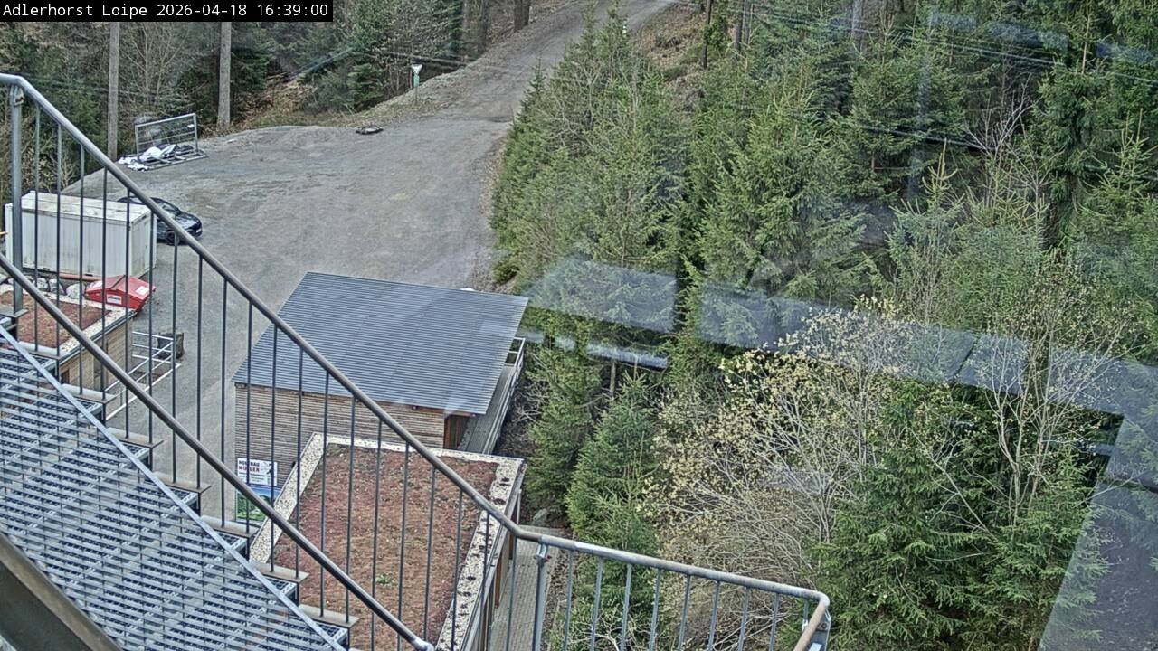 Archiv Foto Webcam Willingen: Adlerhorst Loipe