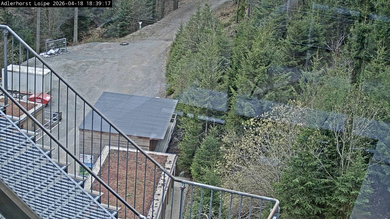 Archiv Foto Webcam Willingen: Adlerhorst Loipe