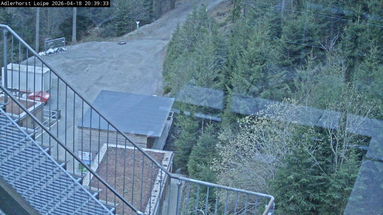 Archiv Foto Webcam Willingen: Adlerhorst Loipe