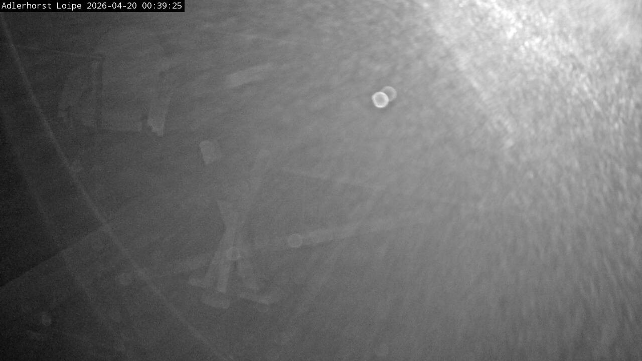 Archiv Foto Webcam Willingen: Adlerhorst Loipe