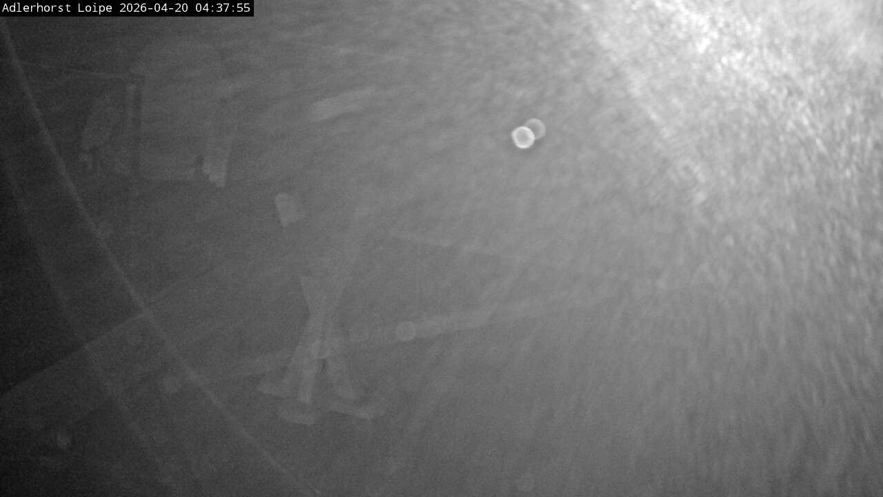 Archiv Foto Webcam Willingen: Adlerhorst Loipe