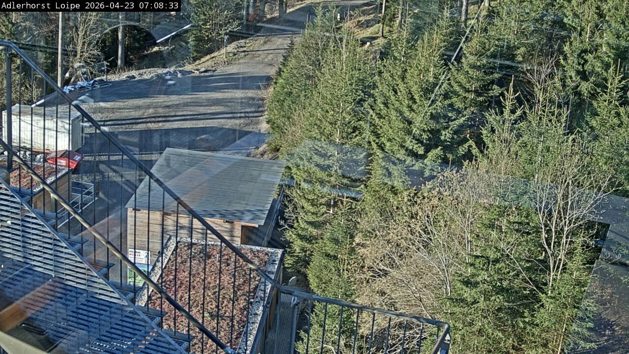 Archiv Foto Webcam Willingen: Adlerhorst Loipe