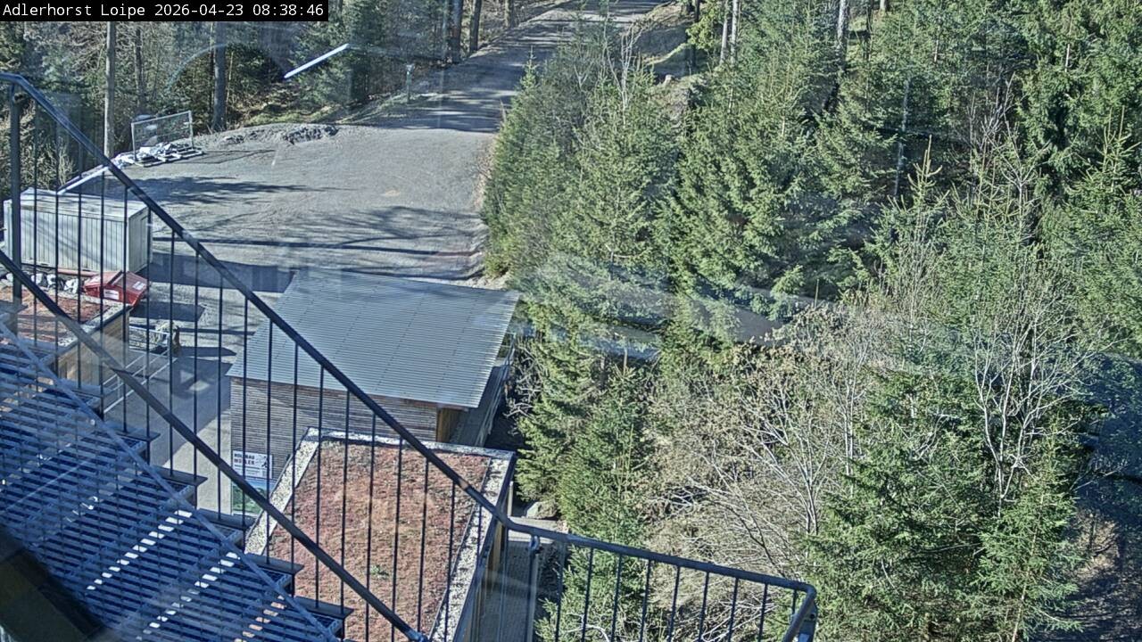 Archiv Foto Webcam Willingen: Adlerhorst Loipe
