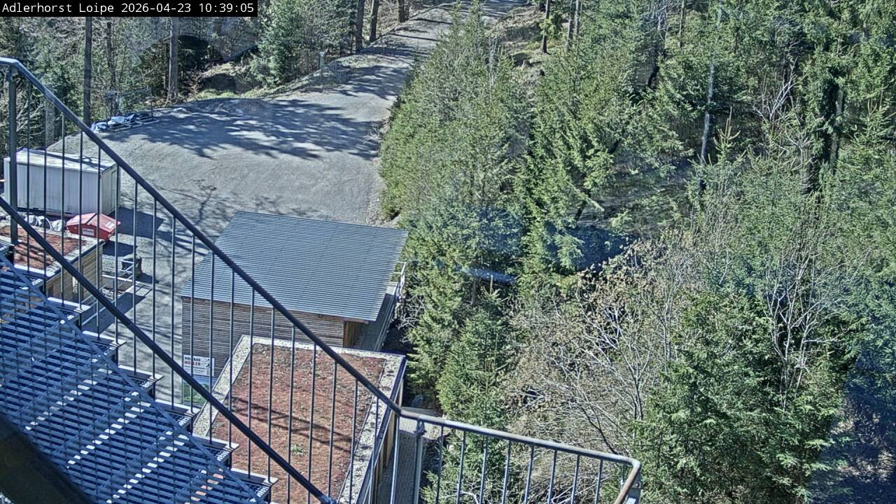 Archiv Foto Webcam Willingen: Adlerhorst Loipe