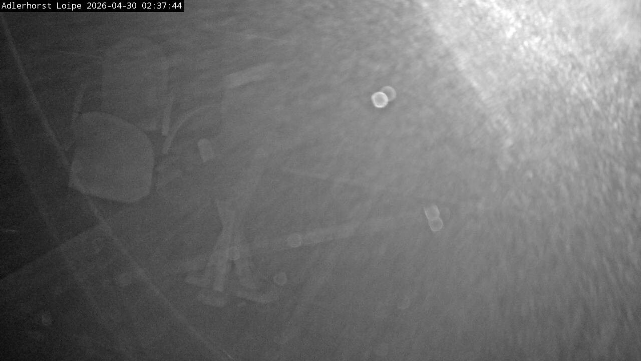 Archiv Foto Webcam Willingen: Adlerhorst Loipe