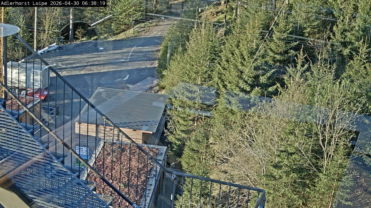 Archiv Foto Webcam Willingen: Adlerhorst Loipe