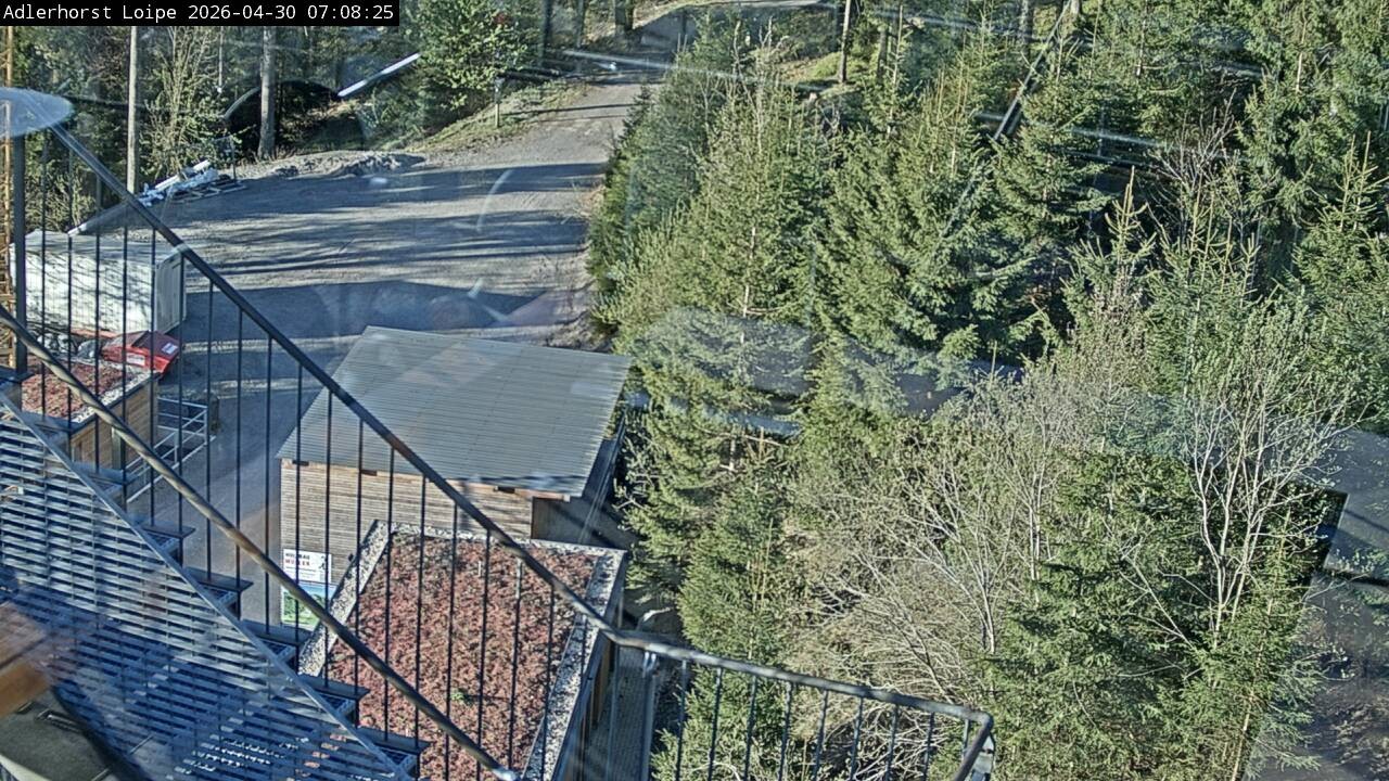 Archiv Foto Webcam Willingen: Adlerhorst Loipe