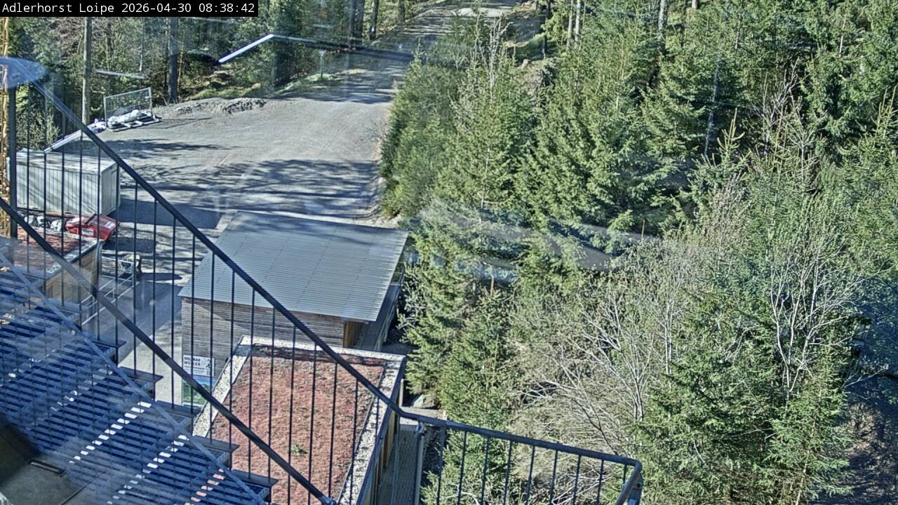 Archiv Foto Webcam Willingen: Adlerhorst Loipe