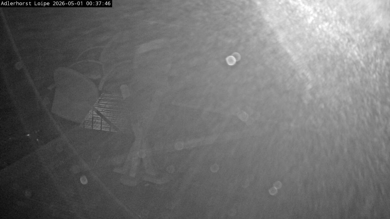 Archiv Foto Webcam Willingen: Adlerhorst Loipe