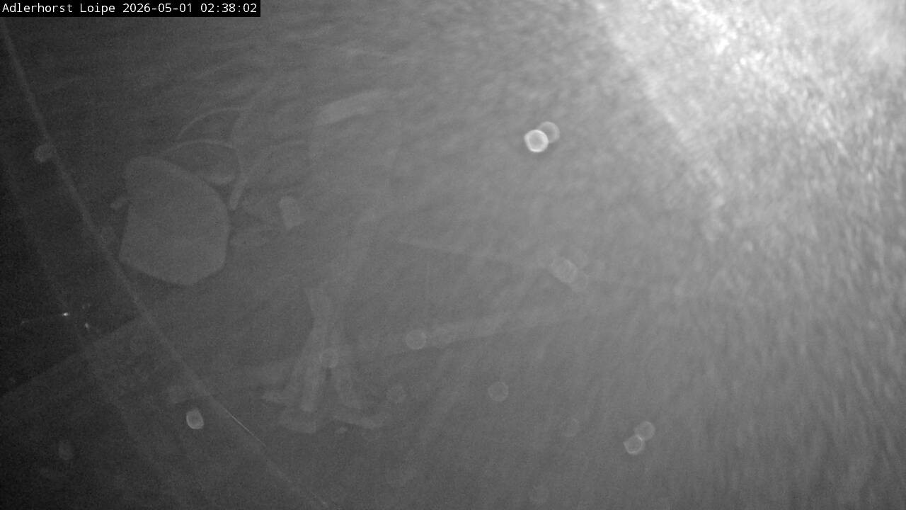 Archiv Foto Webcam Willingen: Adlerhorst Loipe